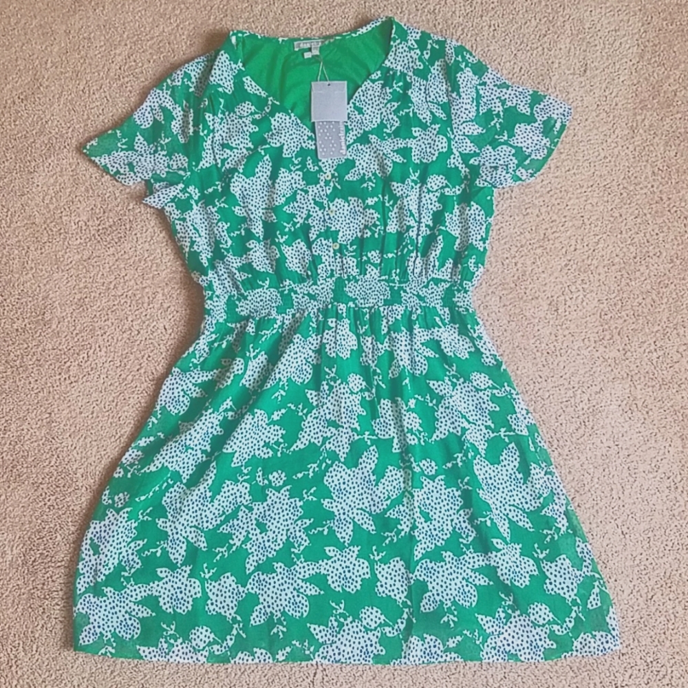 Daniel Rainn Dress